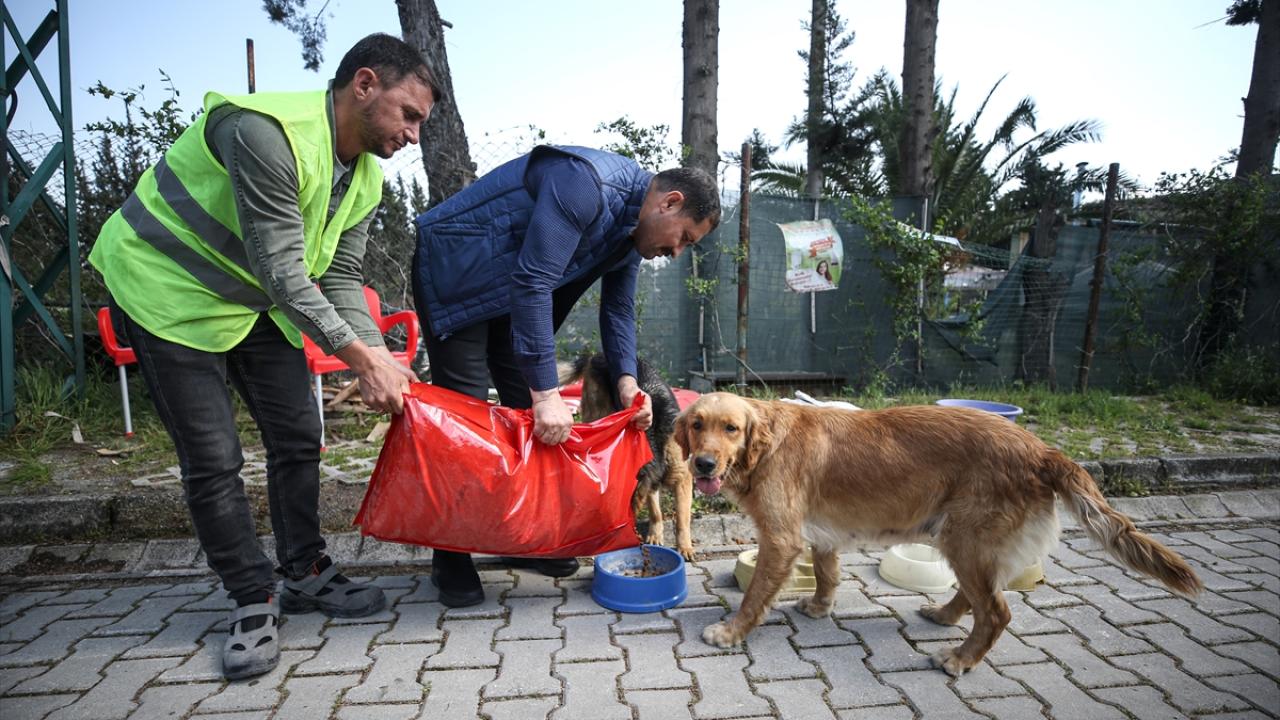 "Deprem bölgesindeki hayvanlar bize emanet"