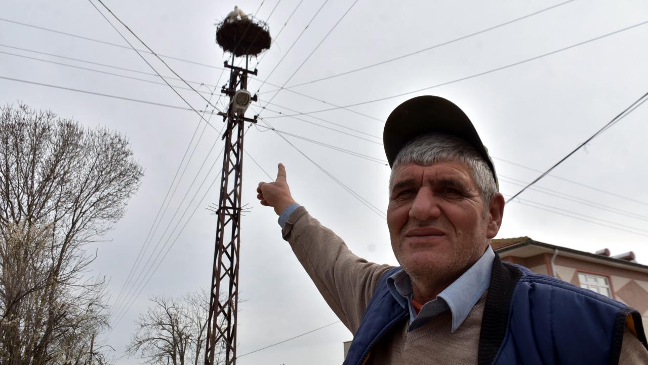 "Köyümüzde 10 tane var"