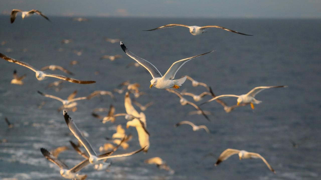 Yoğun mesaiye iftar ve sahur molaları