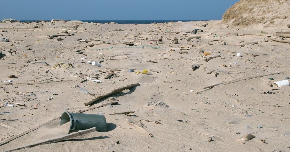 Birçok farklı ülkeden atıklar