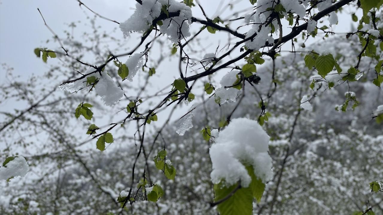 "Umarım üretim, verim ve kalite bakımından iyi bir mahsul yılı olur"