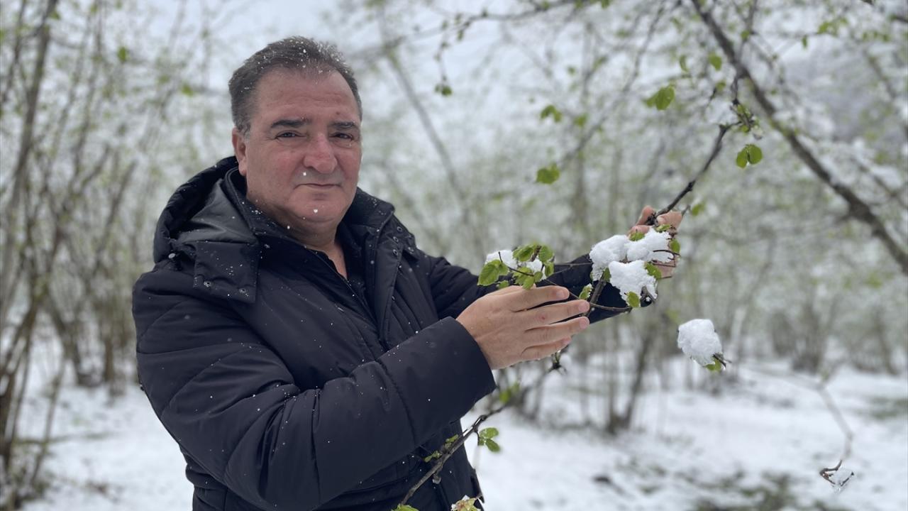 "Olumsuz hava koşulları son 3 yıldır fındığa belirli oranda zarar verdi"