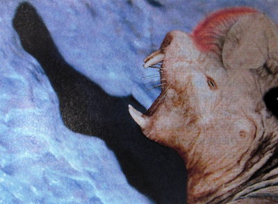 Kızgın kafalı buz kurdu (1995)