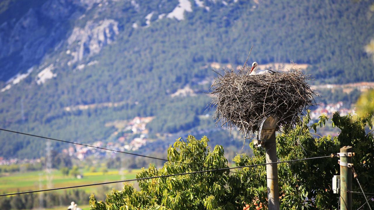 "Yabancı turistlerin de ilgi odağı oldu"