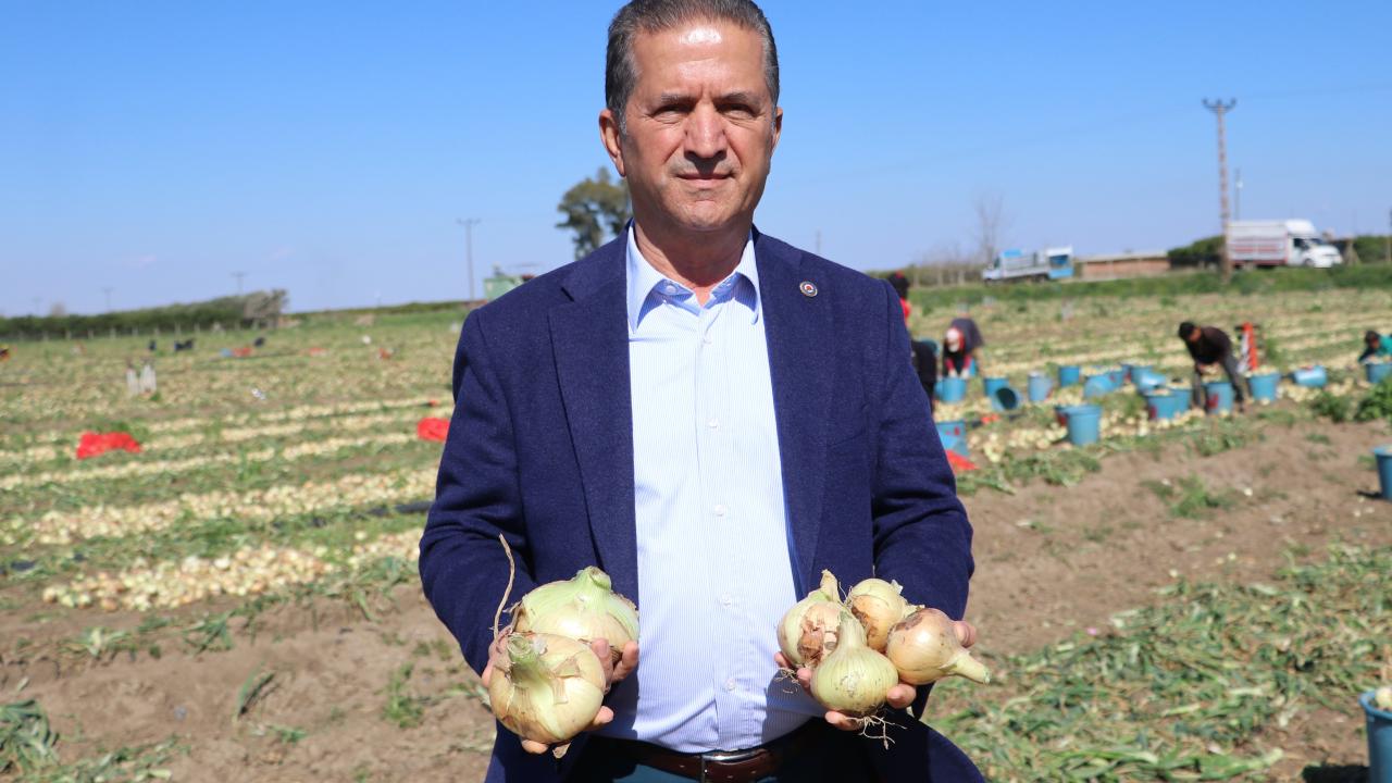 “Geçen yıl 12 bin 500, bu yıl 23 bin dönüm ekildi”