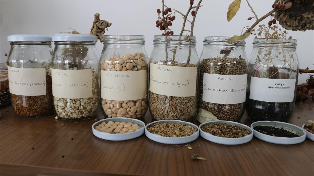 "Burası Türkiye`de örnek olacak bahçelerden birisi"