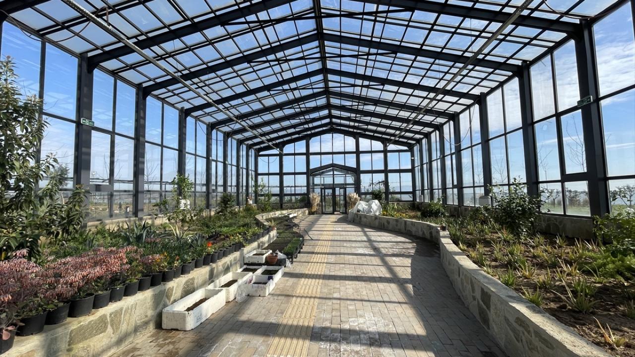 "Artık dışarıya bağımlı değiliz, kendi tohumumuzdan kendi fidemizi üretiyoruz"