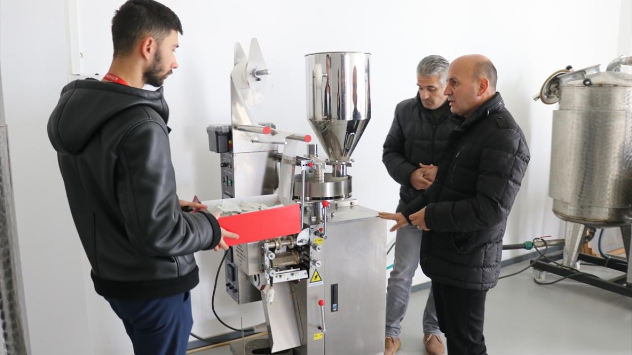 Şeker otu dahil üretilmesi en zor bitkilerden fide üretiliyor