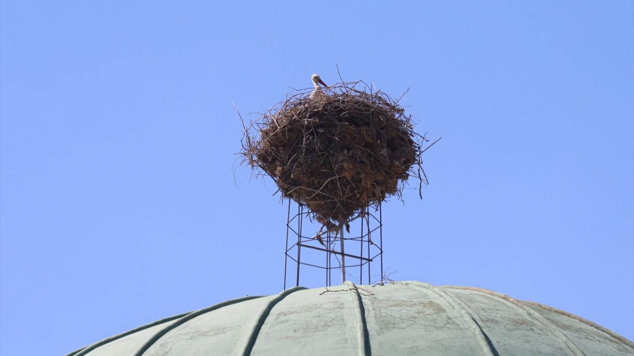 "Simgemiz devam ediyor"