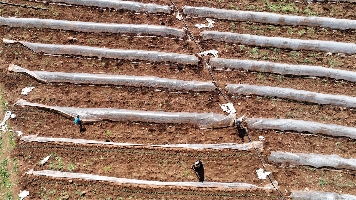 "Ev yaptıracağız, onun için çalışıyoruz"