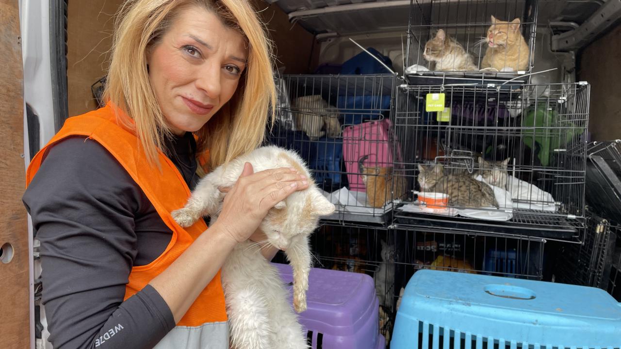 "İnatçı kedilerimiz var, 2-3 defa taşıdığımız kedilerimiz var"