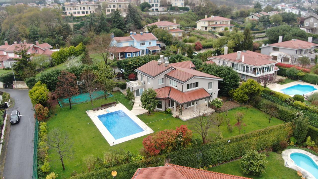 Teknoloji köpekleri telefonları buldu