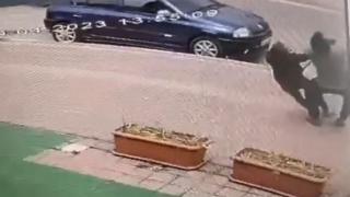 Elektrik teline konan kuşları kurtarmak isterken akıma kapıldılar