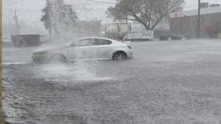 Florida'da şiddetli yağış: Okullar ve bir havalimanı kapandı