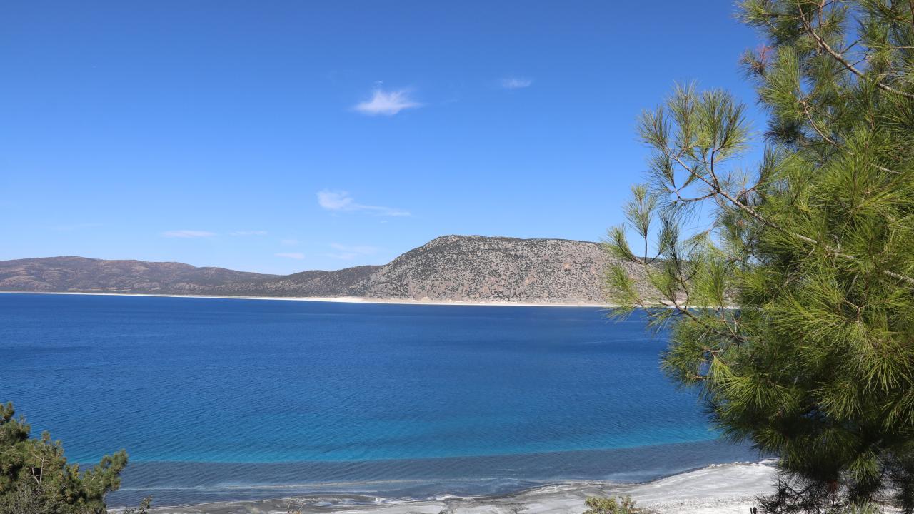 Turkuaz Renkli Salda