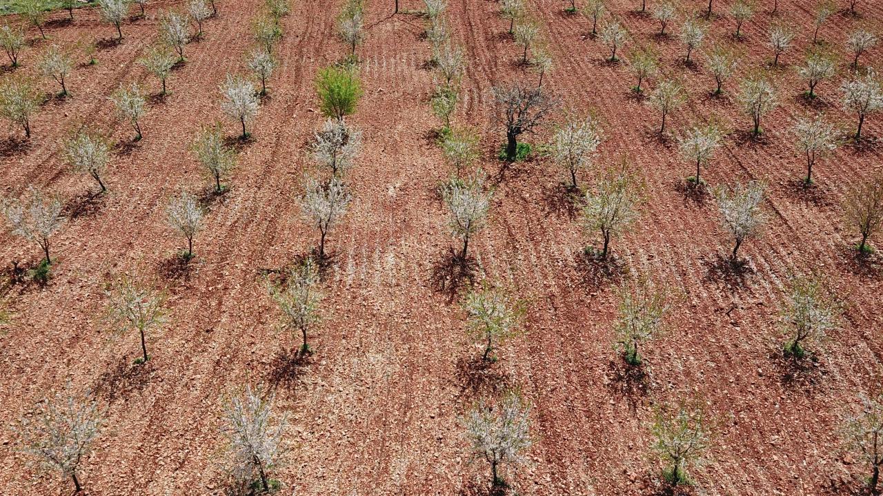 "Bu yılın iyi geçmesini bekliyoruz"