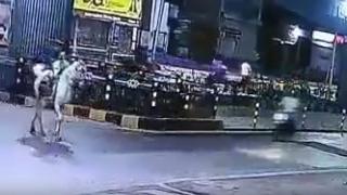 Hızla gelen motosiklet ata çarptı