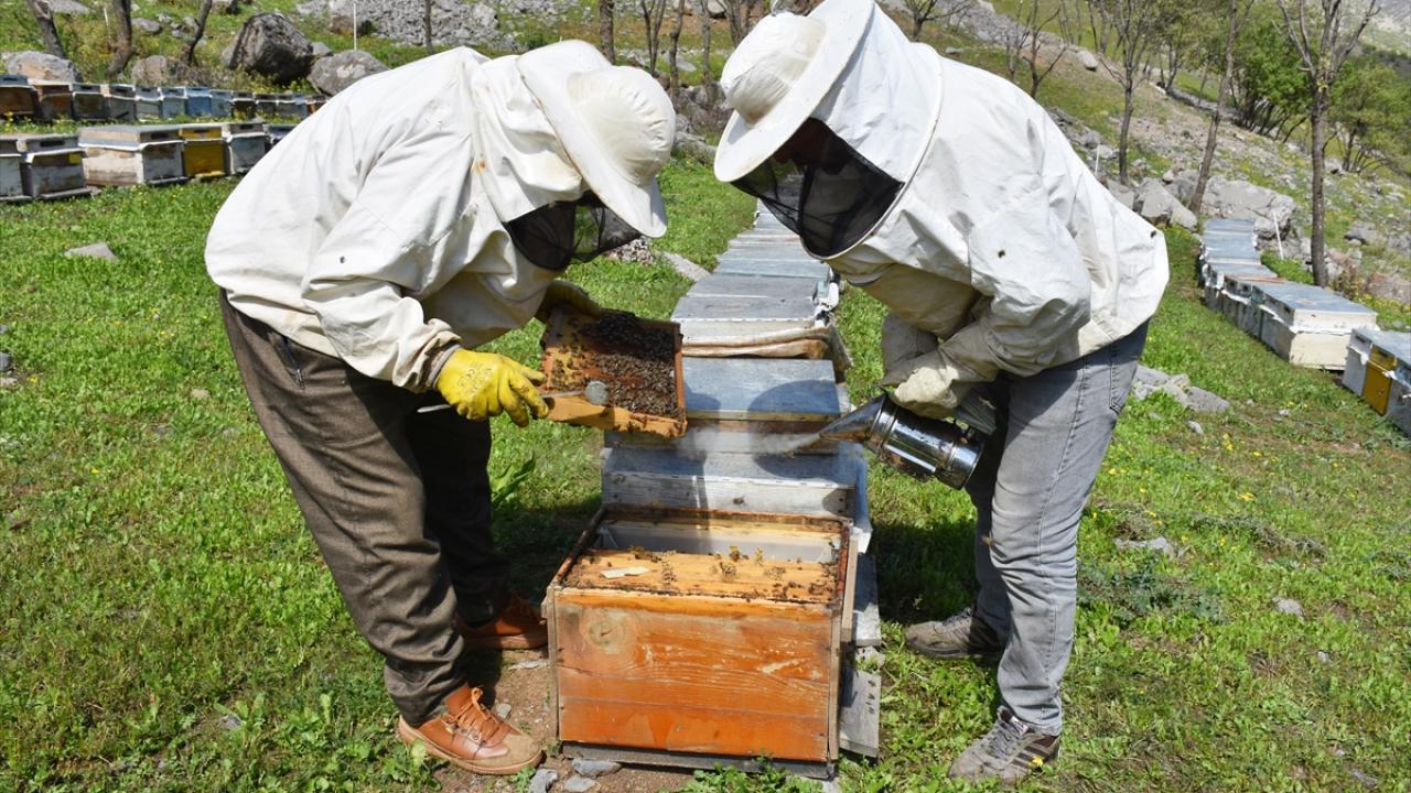 "Ordu`dan, Giresun`dan gelen arıcılar var"
