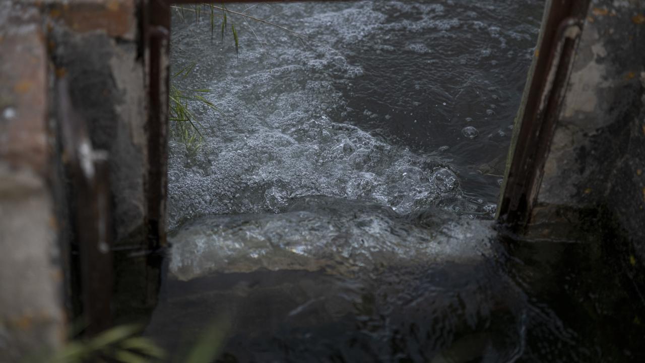 İspanya, AB Ortak Tarım Politikasından yardımı en yüksek düzeye çıkarmasını istedi