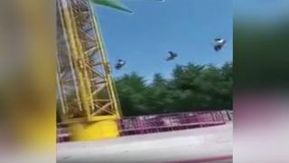 Dev salıncak ağaç dallarına takıldı