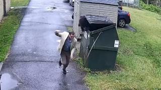 Çöp konteynerinden çıkan ayı okul müdürünü korkuttu