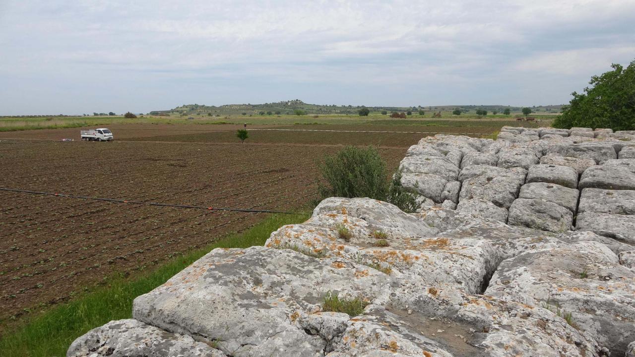 "Önemli bir kültür varlığımızı kurtarmış oluruz"