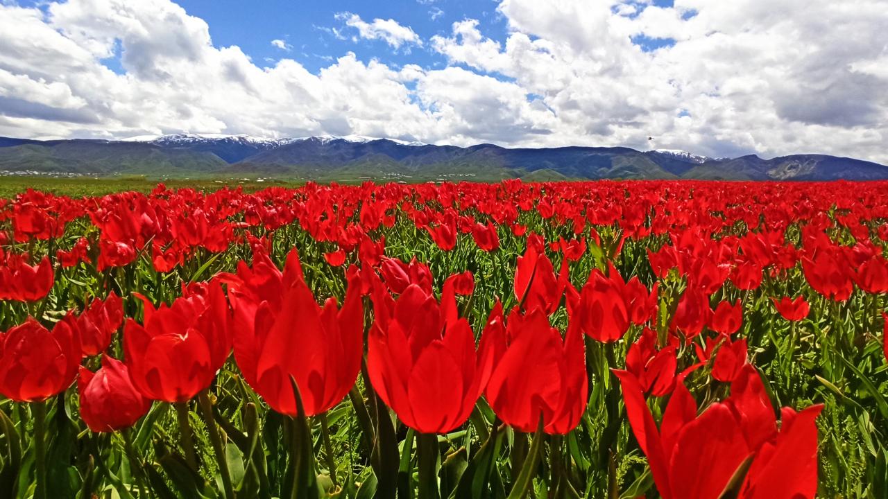   “Gördüğümüz manzaraya doyamadık” 