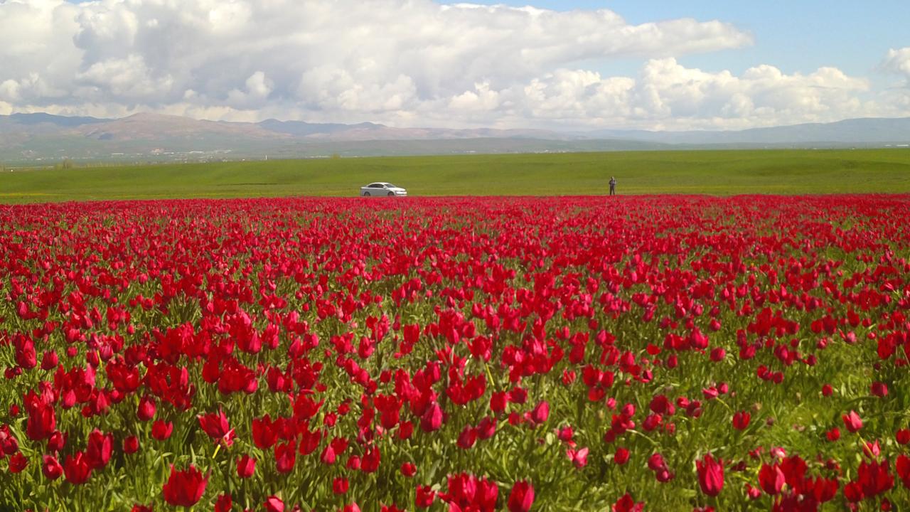  “Hayalini kurduğum manzaranın ortasındayım”