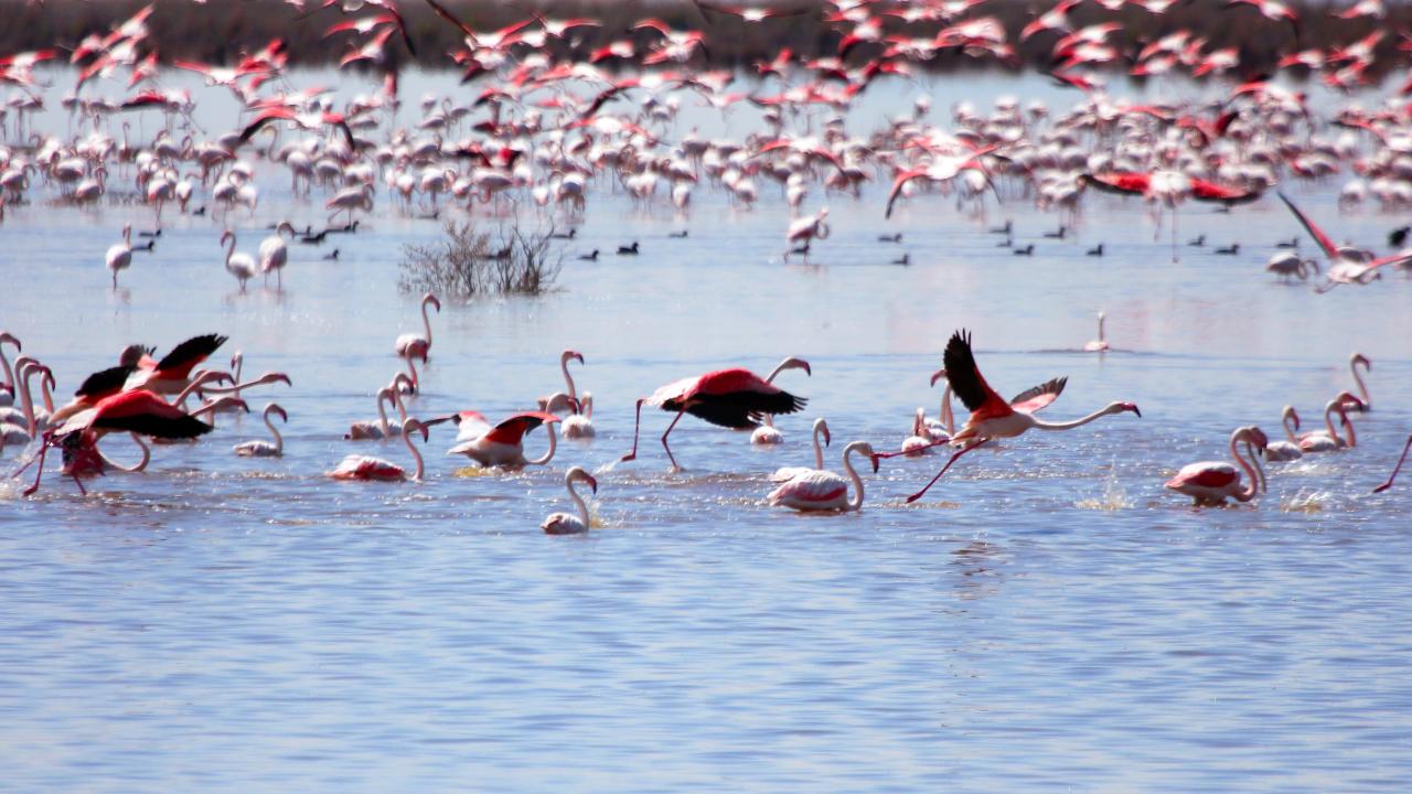 "Fotoğrafçılar için nadir bölgelerden"
