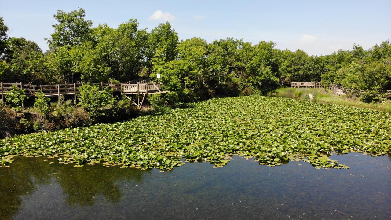 Göl kurumaktan kurtarıldı