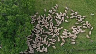 TAGEM yılda 80'den fazla projeyle çiftçinin hizmetinde