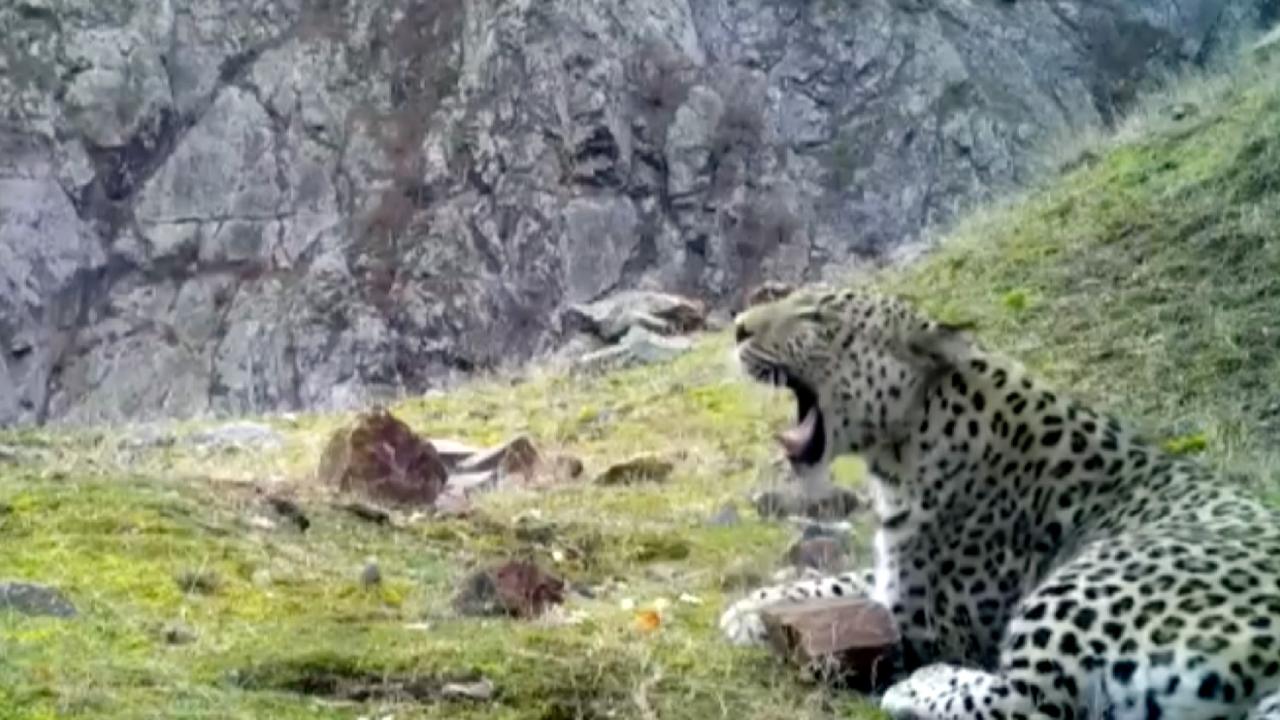 "İnsanlara zarar vermiyor"