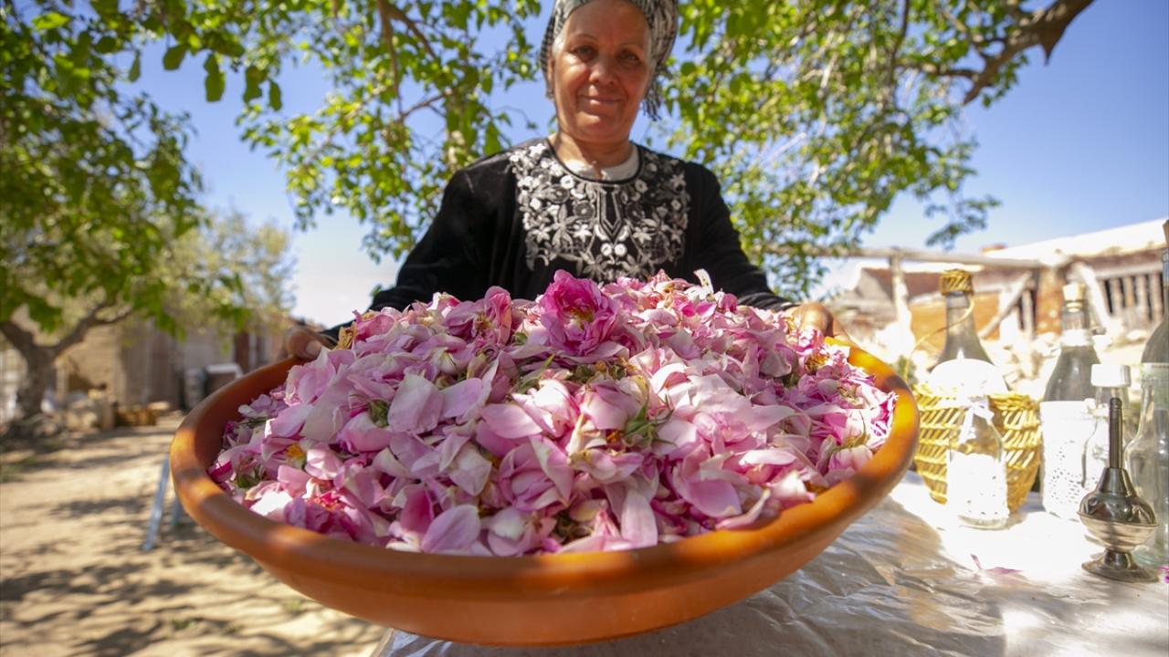 “En çok portakal çiçeği, gül ve ıtır çiçeği damıtıyoruz”