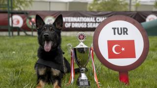 Narkotik Dedektör Köpekler Yarışması’nda Türkiye’yi temsil eden 'Nobel' birinci oldu
