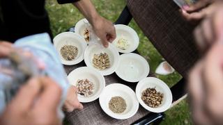 Çiftçi kadın, ortaokul öğrencilerine ata tohumuyla tarım tekniklerini öğretti