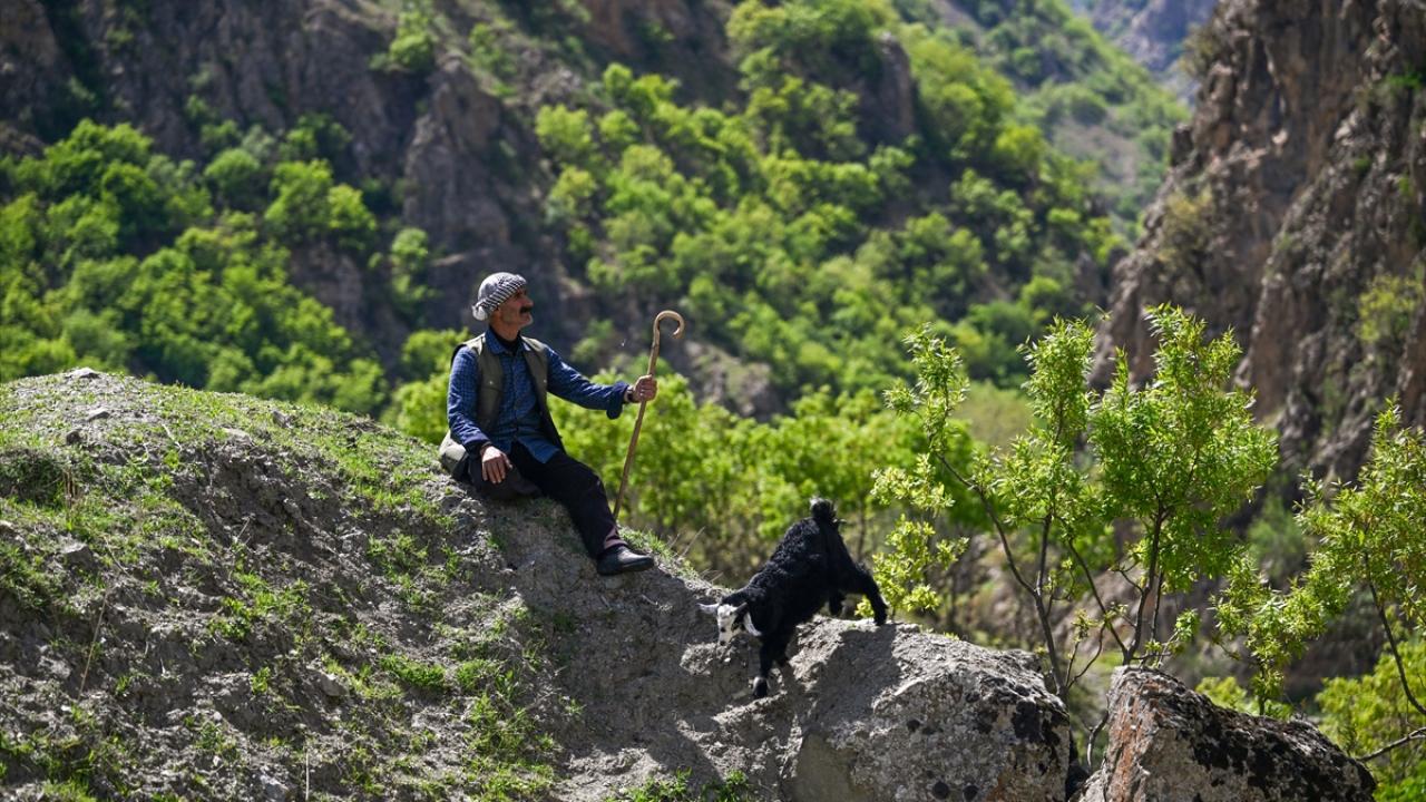 "Bereketli bir süreç bizi bekliyor"