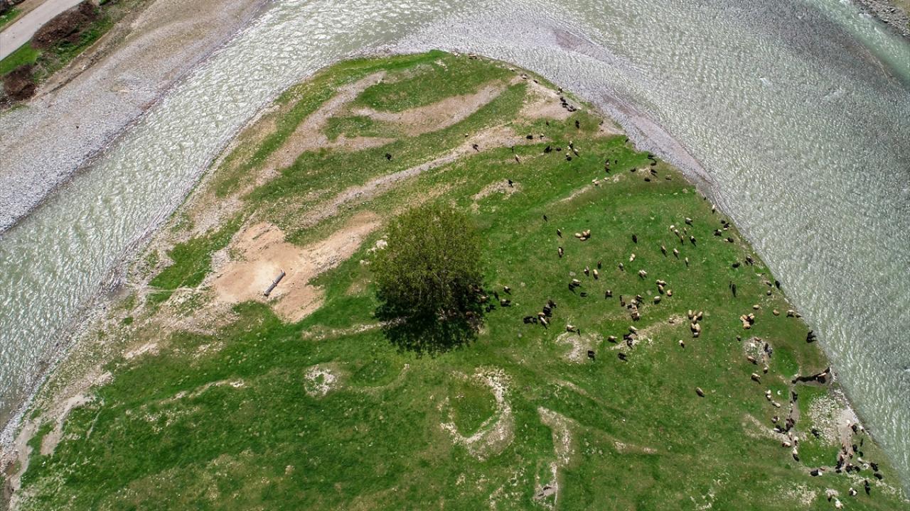 "Tüm yaylalarımız temizlendi"