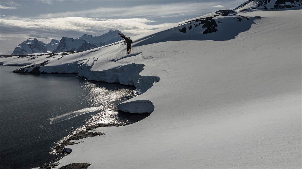 "Şu an erime dönemindeyiz"