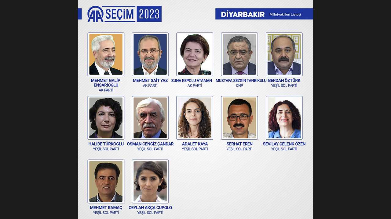 DİYARBAKIR MİLLETVEKİLLERİ