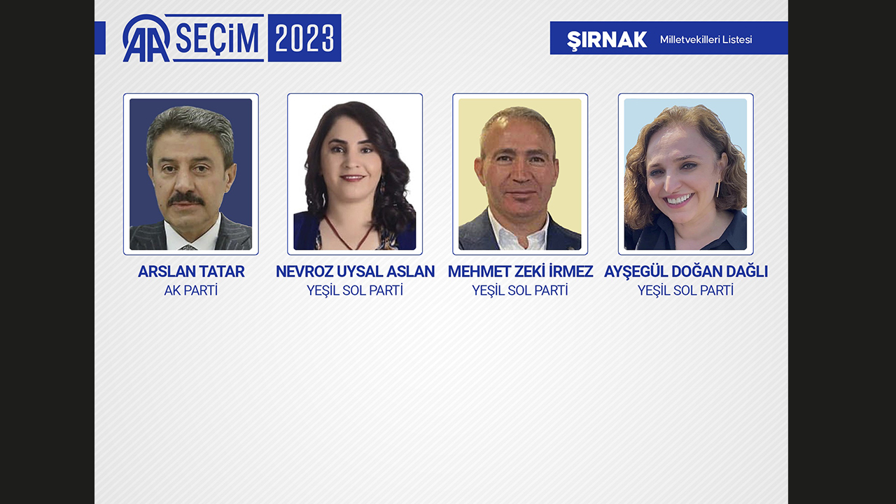 ŞIRNAK MİLLETVEKİLLERİ