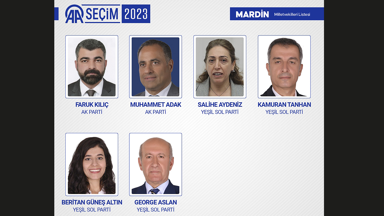 MARDİN MİLLETVEKİLLERİ