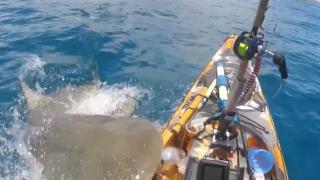 Teknede balık tutarken köpekbalığı saldırdı