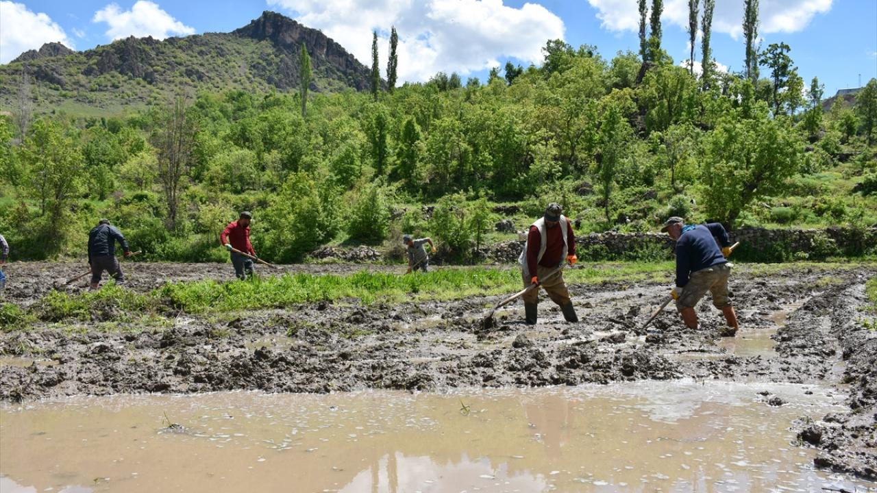 "Geleneği yaşatmaya çalışıyoruz"