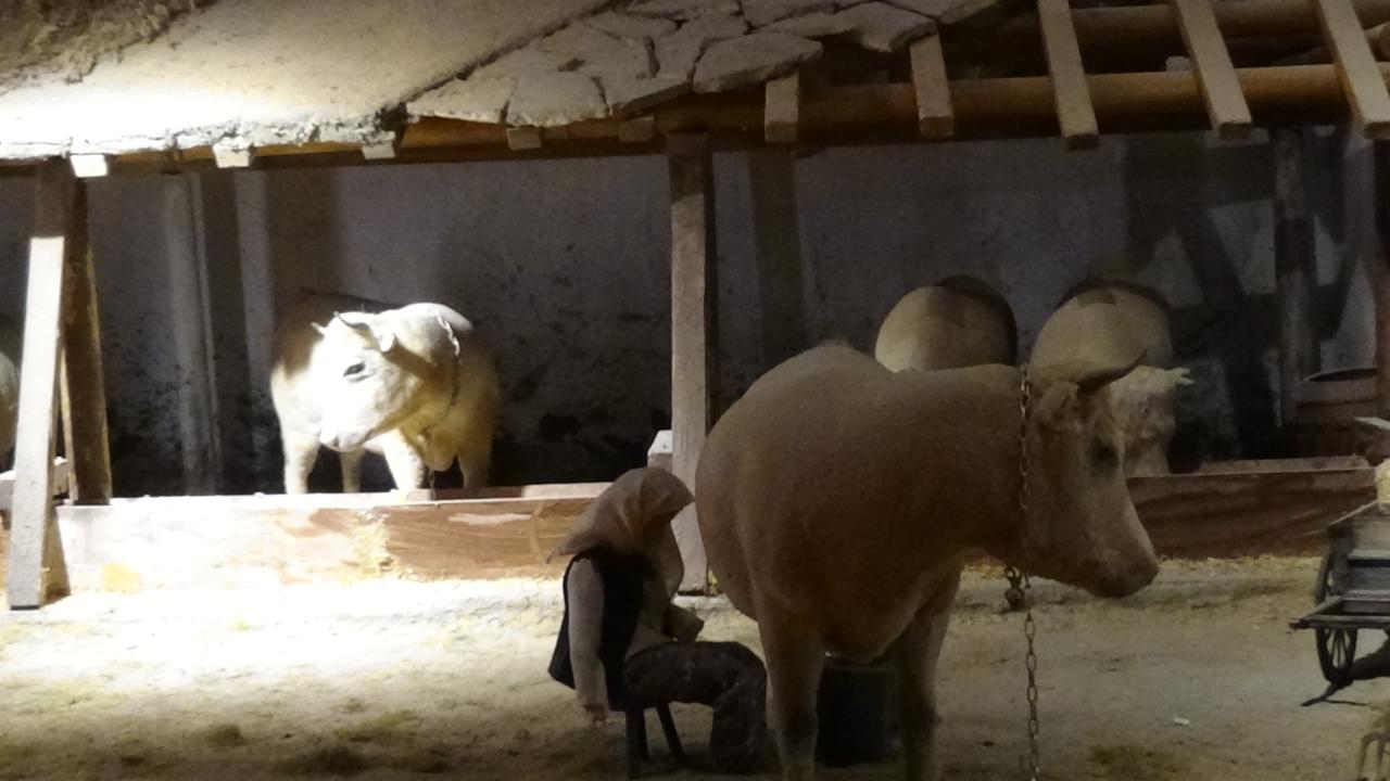 “İnanılmaz, müthiş bir yer”