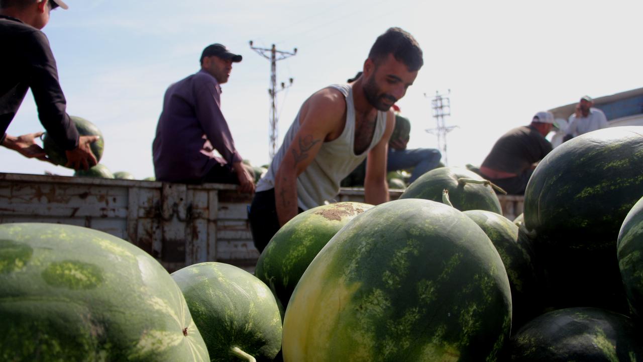 "Ham karpuz üreticiye zarar veriyor"