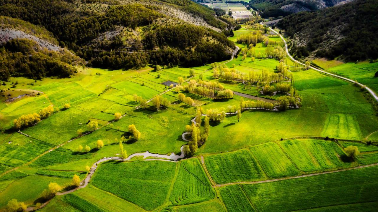 Fotoğraf: Abdurrahman Doğan