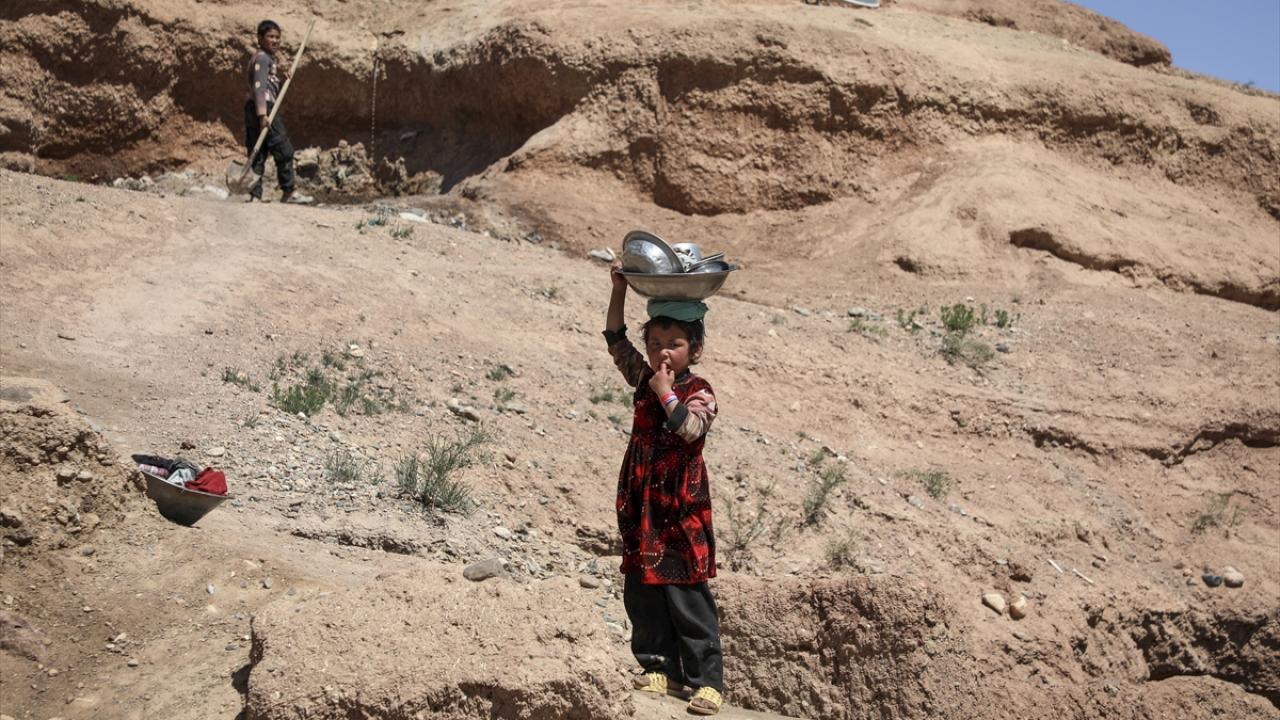 İçme suyu temini ile haşereler en büyük sorun