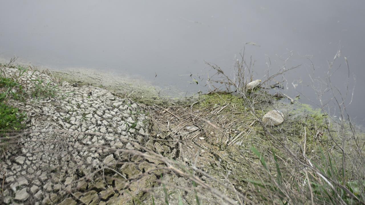 "Kanalizasyon karışıyor"