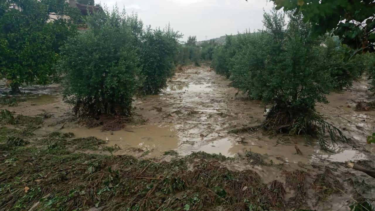 Tarsus`ta tarım alanları sular altında kaldı