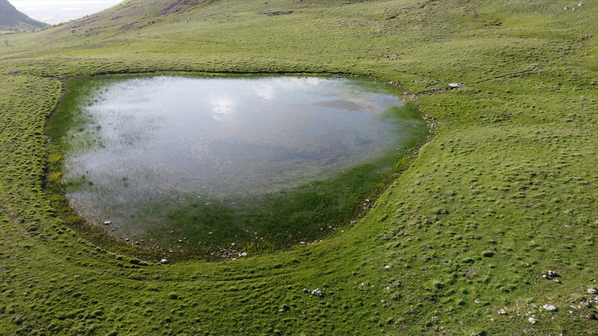 "Gölet, nadir görülen kuşların barındığı bir yer"